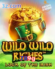 789g slot wild wild riches